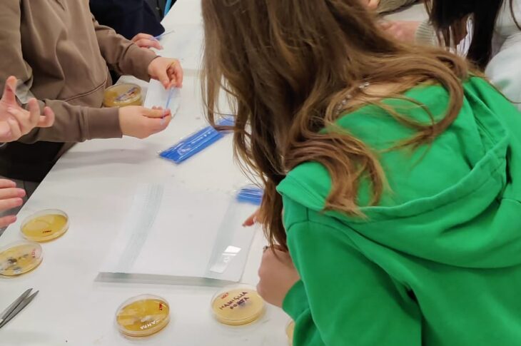 laboratorio microbiologia