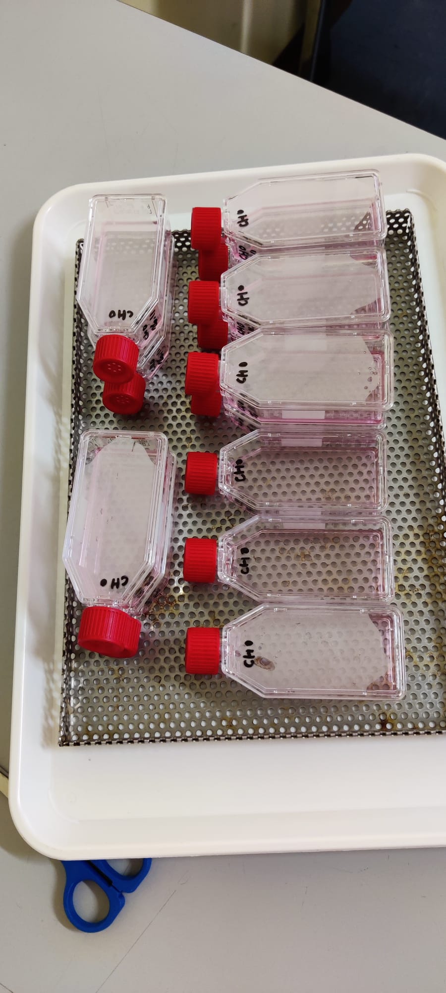 lab1