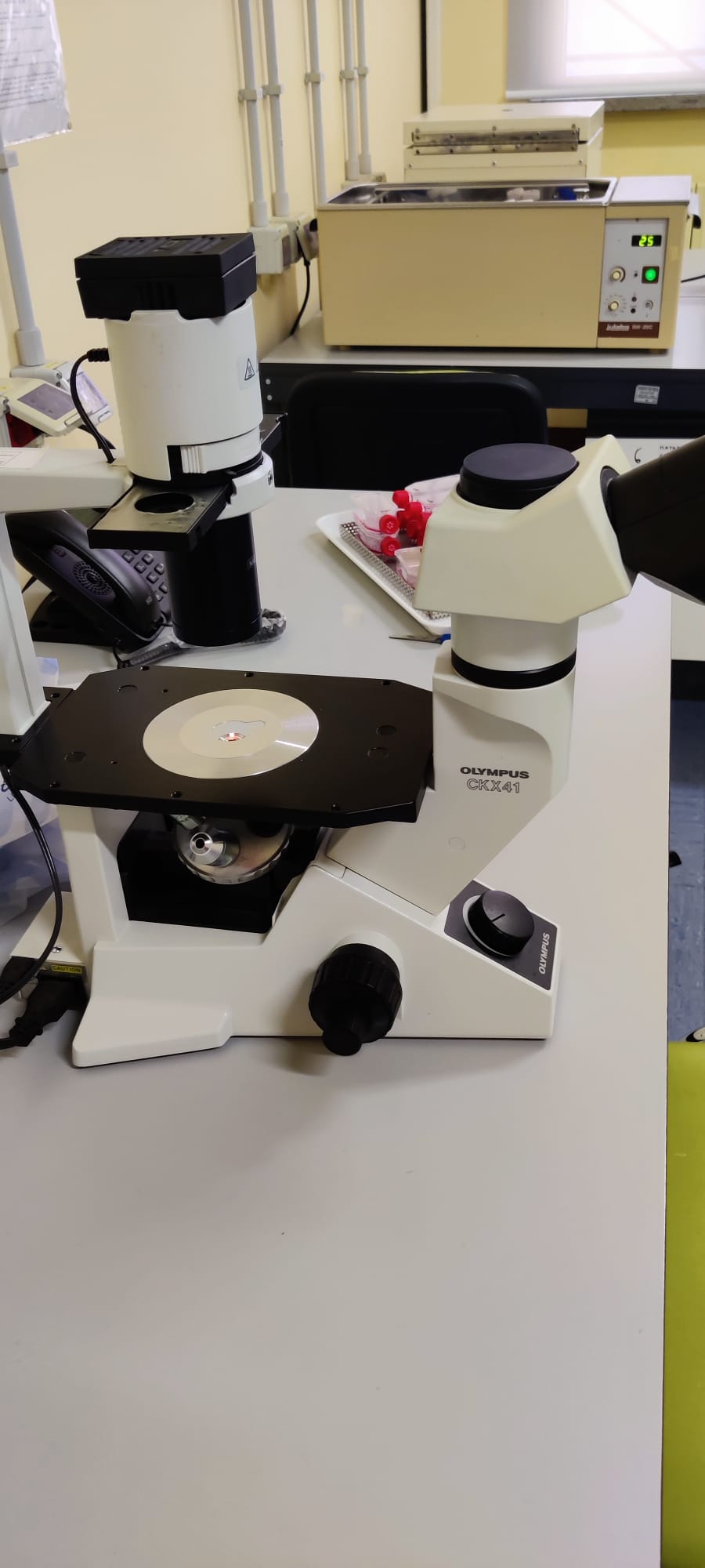 lab3