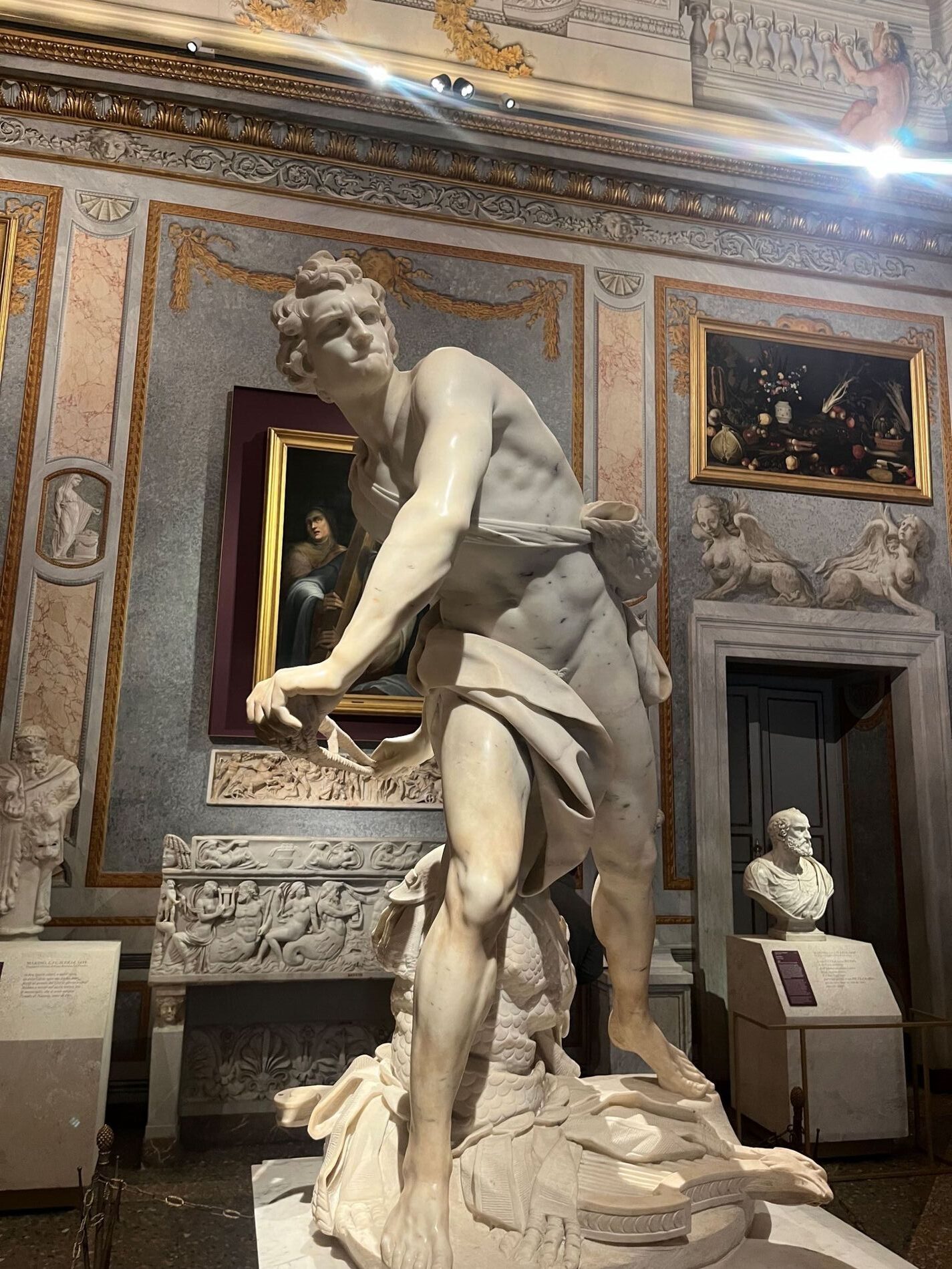roma5